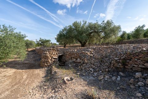 Finca i Tortosa, Tarragona, Tortosa - € 38.000 | Ref: 900 - foto 13