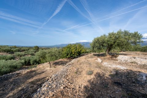 Finca i Tortosa, Tarragona, Tortosa - € 38.000 | Ref: 900 - foto 12