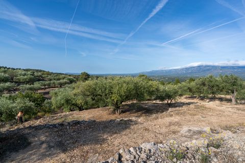 Finca i Tortosa, Tarragona, Tortosa - € 38.000 | Ref: 900 - foto 7