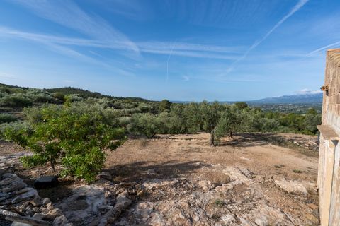 Finca i Tortosa, Tarragona, Tortosa - € 38.000 | Ref: 900 - foto 6