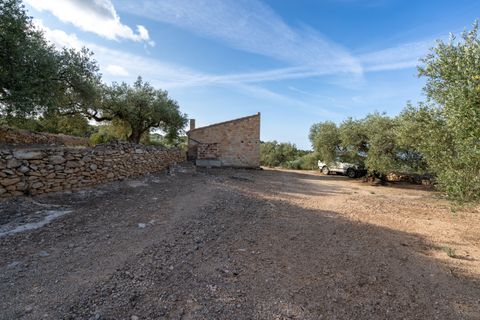 Finca i Tortosa, Tarragona, Tortosa - € 38.000 | Ref: 900 - foto 9