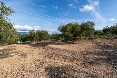 Finca i Tortosa, Tarragona, Tortosa - € 38.000 | Ref: 900 - foto 11