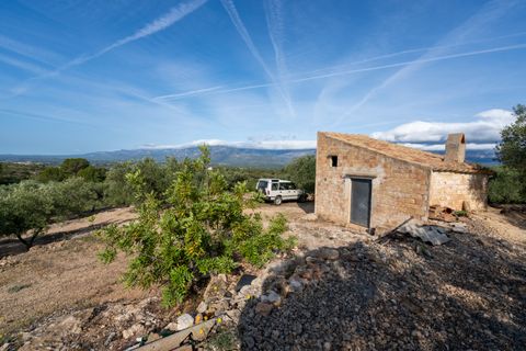 Finca i Tortosa, Tarragona, Tortosa - € 38.000 | Ref: 900 - foto 3