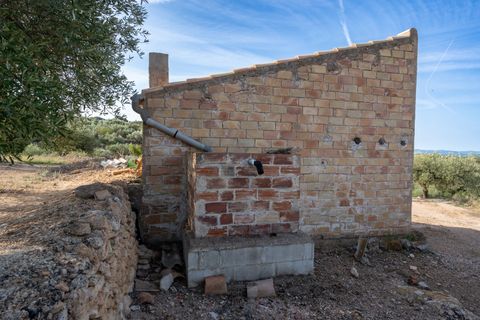 Finca i Tortosa, Tarragona, Tortosa - € 38.000 | Ref: 900 - foto 8