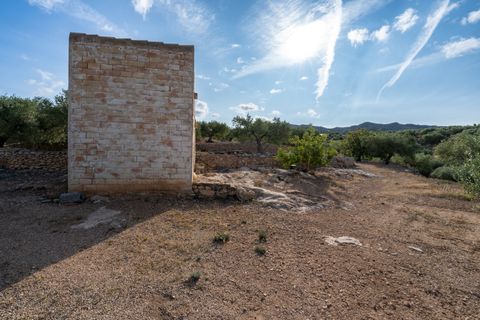 Finca i Tortosa, Tarragona, Tortosa - € 38.000 | Ref: 900 - foto 5