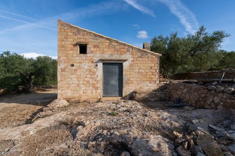 Finca i Tortosa, Tarragona, Tortosa - € 38.000 | Ref: 900 - foto 2