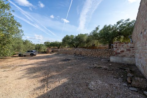 Finca i Tortosa, Tarragona, Tortosa - € 38.000 | Ref: 900 - foto 10