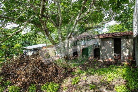 Helårsgrund i Vila Verde, Coimbra, Vila Verde - € 36.500 | Ref: FFFM F1822 - foto 10