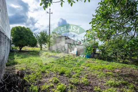 Helårsgrund i Vila Verde, Coimbra, Vila Verde - € 36.500 | Ref: FFFM F1822 - foto 11