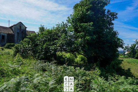 Villa i Nogueira do Cravo e Pindelo, Aveiro, Nogueira do Cravo e Pindelo - € 160.000 | Ref: OAZ3557 - foto 15