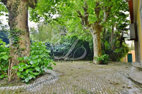 Farm i Sintra, Lisbon, Sintra - € 2.750.000 | Ref: L40665 - foto 7