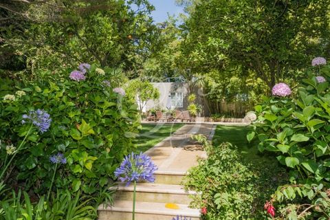 Farm i Sintra, Lisbon, Sintra - € 2.750.000 | Ref: L40665 - foto 39