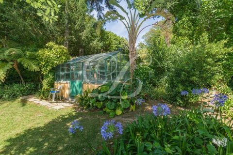 Farm i Sintra, Lisbon, Sintra - € 2.750.000 | Ref: L40665 - foto 42