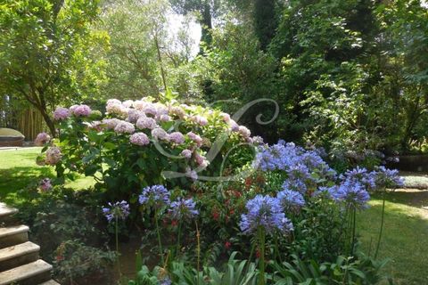 Farm i Sintra, Lisbon, Sintra - € 2.750.000 | Ref: L40665 - foto 44