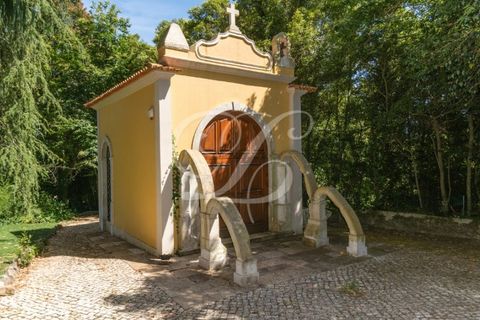 Farm i Sintra, Lisbon, Sintra - € 2.750.000 | Ref: L40665 - foto 46