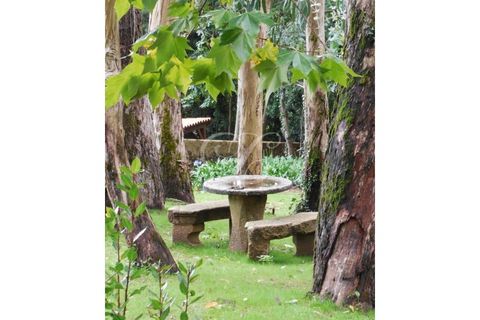 Farm i Sintra, Lisbon, Sintra - € 2.750.000 | Ref: L40665 - foto 47