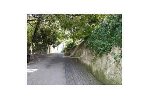 Farm i Sintra, Lisbon, Sintra - € 2.750.000 | Ref: L40665 - foto 48