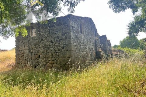 Terra a Alcains, Castelo Branco, Alcains - € 56.500 | Ref: 4491 - foto 2