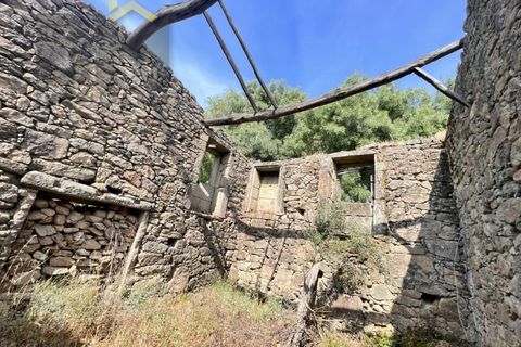 Terra a Alcains, Castelo Branco, Alcains - € 56.500 | Ref: 4491 - foto 4