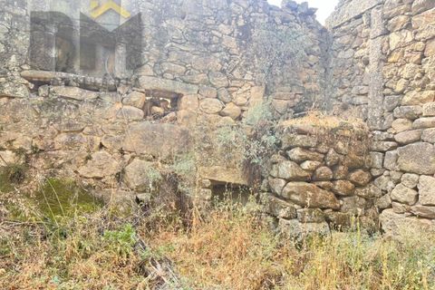 Terra a Alcains, Castelo Branco, Alcains - € 56.500 | Ref: 4491 - foto 5
