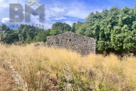 Terra a Alcains, Castelo Branco, Alcains - € 56.500 | Ref: 4491 - foto 6