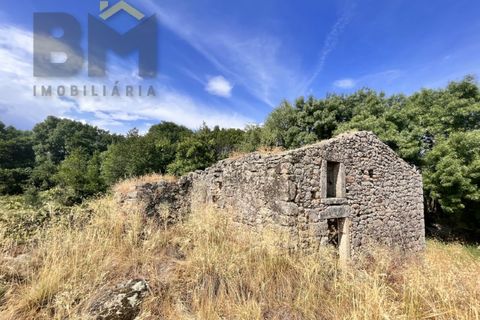 Terra a Alcains, Castelo Branco, Alcains - € 56.500 | Ref: 4491 - foto 7