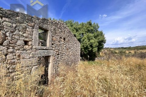 Terra a Alcains, Castelo Branco, Alcains - € 56.500 | Ref: 4491 - foto 8