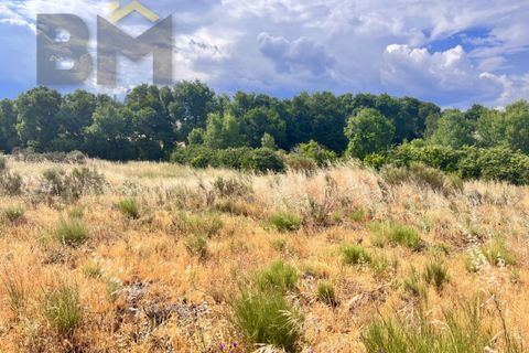 Terra a Alcains, Castelo Branco, Alcains - € 56.500 | Ref: 4491 - foto 10