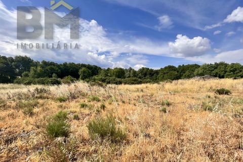 Terra a Alcains, Castelo Branco, Alcains - € 56.500 | Ref: 4491 - foto 11