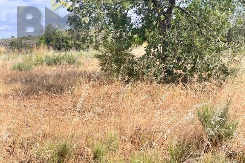 Terra a Alcains, Castelo Branco, Alcains - € 56.500 | Ref: 4491 - foto 12