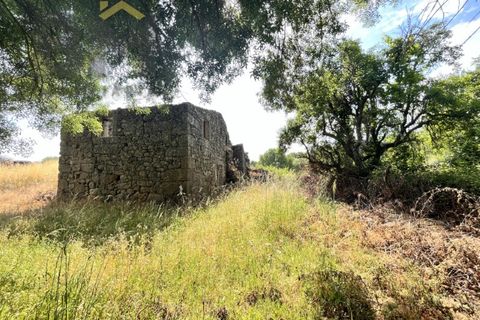 Terra a Alcains, Castelo Branco, Alcains - € 56.500 | Ref: 4491 - foto 13
