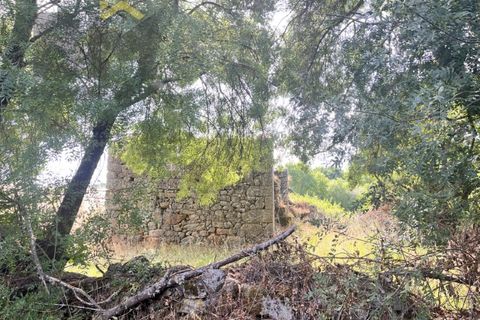 Terra a Alcains, Castelo Branco, Alcains - € 56.500 | Ref: 4491 - foto 14