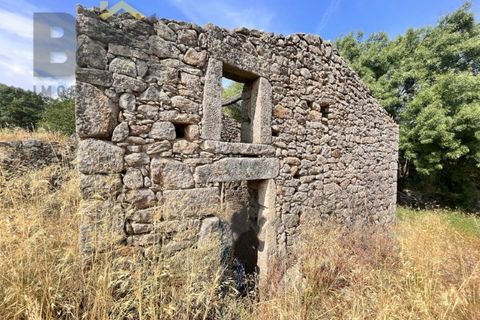 Terra a Alcains, Castelo Branco, Alcains - € 56.500 | Ref: 4491 - foto 15