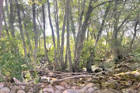 Terra a Alcains, Castelo Branco, Alcains - € 56.500 | Ref: 4491 - foto 16