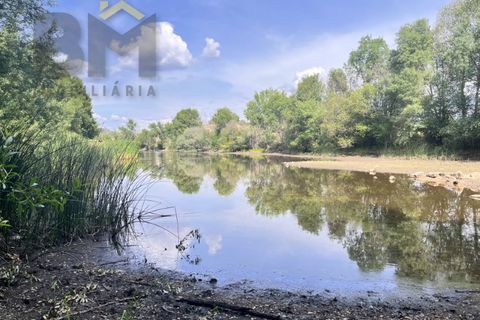 Terra a Alcains, Castelo Branco, Alcains - € 56.500 | Ref: 4491 - foto 17