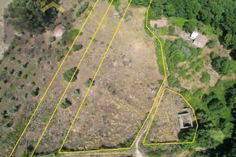 Terra a Alcains, Castelo Branco, Alcains - € 56.500 | Ref: 4491 - foto 18