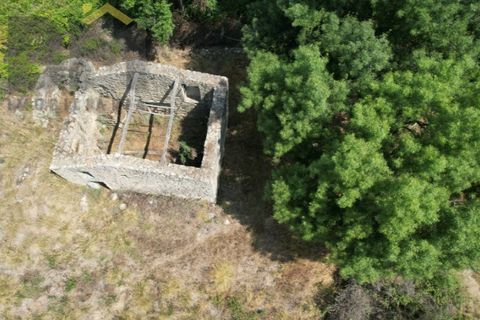 Terra a Alcains, Castelo Branco, Alcains - € 56.500 | Ref: 4491 - foto 20