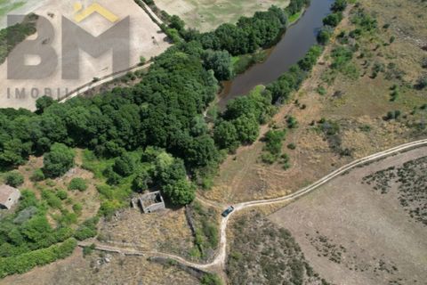 Terra a Alcains, Castelo Branco, Alcains - € 56.500 | Ref: 4491 - foto 22