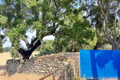 Terra a Alcains, Castelo Branco, Alcains - € 36.500 | Ref: 4490 - foto 2