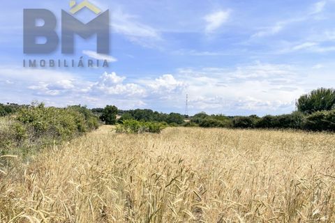 Terra a Alcains, Castelo Branco, Alcains - € 36.500 | Ref: 4490 - foto 5