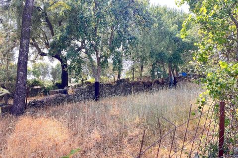 Terra a Alcains, Castelo Branco, Alcains - € 36.500 | Ref: 4490 - foto 7