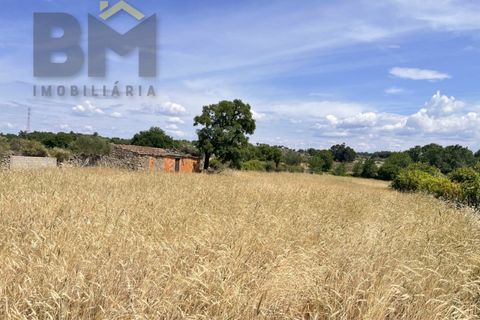 Terra a Alcains, Castelo Branco, Alcains - € 36.500 | Ref: 4490 - foto 9