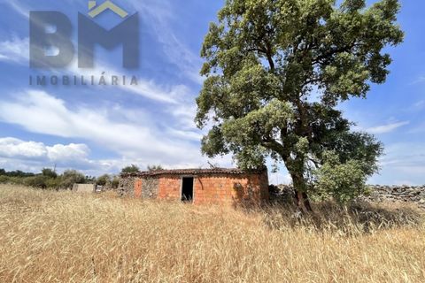 Terra a Alcains, Castelo Branco, Alcains - € 36.500 | Ref: 4490 - foto 10