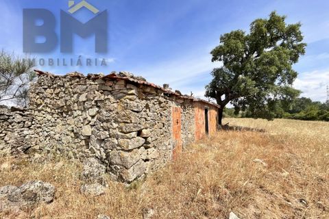 Terra a Alcains, Castelo Branco, Alcains - € 36.500 | Ref: 4490 - foto 11