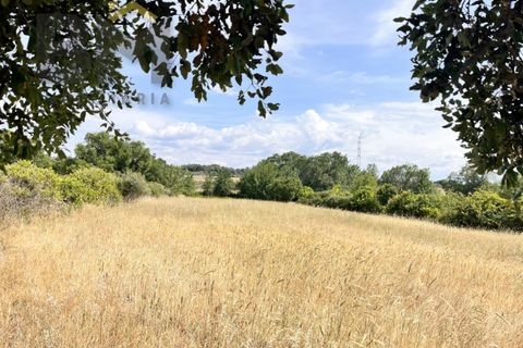 Terra a Alcains, Castelo Branco, Alcains - € 36.500 | Ref: 4490 - foto 15