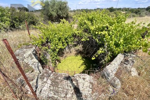 Terra a Alcains, Castelo Branco, Alcains - € 36.500 | Ref: 4490 - foto 17