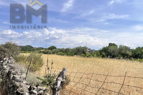 Terra a Alcains, Castelo Branco, Alcains - € 36.500 | Ref: 4490 - foto 18