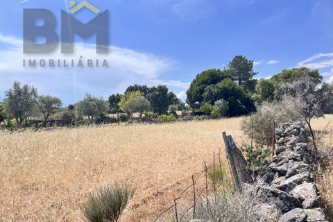 Terra a Alcains, Castelo Branco, Alcains - € 36.500 | Ref: 4490 - foto 19