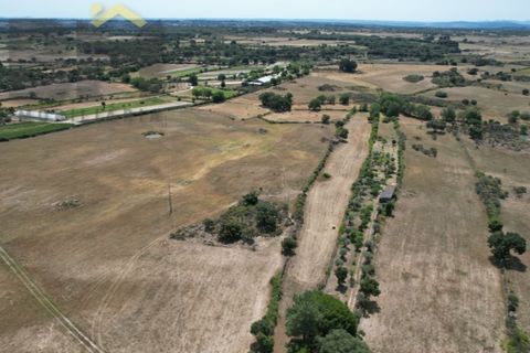 Terra a Alcains, Castelo Branco, Alcains - € 36.500 | Ref: 4490 - foto 20