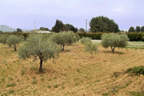 Villa i Yecla, Murcia, Yecla - € 449.000 | Ref: SF0048 - foto 41